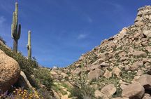 Iconic Tom's Thumb Guided Hiking Adventure in Scottsdale, Arizona
