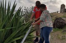 Half-day Tour to St.Maarten Best Island