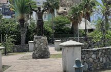 Half-day Tour to St.Maarten Best Island