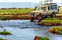4 Days Best Budget Tanzania Camping Safaris