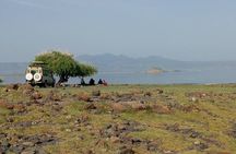 4 Days Best Budget Tanzania Camping Safaris