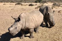 Wildlife Safari, Olive, Beer/Wine Tasting Day Tour from Cape Town