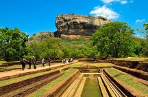 Sigiriya Day Trip with Experts