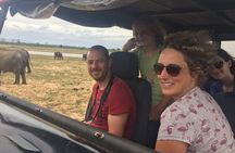 Sigiriya Day Trip with Experts