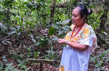 Mayan Healing Ceremony in Cancun or Riviera Maya