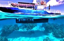 Magical Boat Tour with Underwater Cabin in Bora Bora!