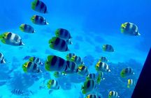 Magical Boat Tour with Underwater Cabin in Bora Bora!