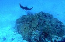 Magical Boat Tour with Underwater Cabin in Bora Bora!