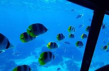 Magical Boat Tour with Underwater Cabin in Bora Bora!