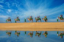 Los Cabos Camel Ride Adventure On The Beach