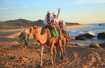 Camel Ride On The Beach at Los Cabos