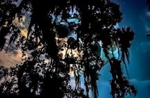 New Orleans Dead of Night Ghosts and Cemetery Bus Tour