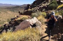 Scottsdale Desert Classic Guided Hiking Adventure