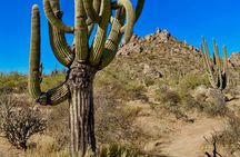 Scottsdale Desert Classic Guided Hiking Adventure