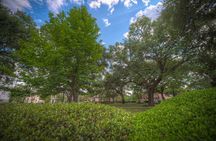 Battles & Brews Pub Crawl in Savannah