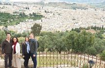 Fez Ramparts King palace jewish Quarter Merinides Tour tanneries