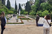 Fez Ramparts King palace jewish Quarter Merinides Tour tanneries