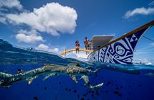 Luxury Private full day tour & Motu lunch in Bora-Bora