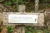 São Paulo Coffee Tour: Farm, Culture & Lunch Included – 6h
