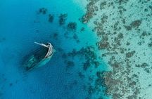 Maafushi: Ship wreck & Nurse shark snorkeling with Dolphin watching