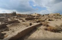 Private Day Tour to Tanis Bubastis Cairo