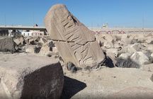 Private Day Tour to Tanis Bubastis Cairo