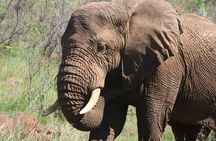 Serengeti & Ngorongoro 3 Days Budget Safari