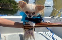 Private 2-Hour Day Sailing Experience