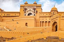 Amer and Jaigarh Forts Half-Day Tour