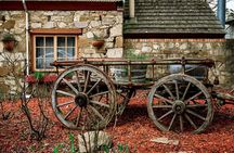 Barossa and Hahndorf Wine Tasting and Sightseeing Tour