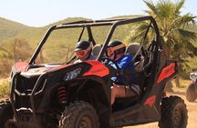 Cabo Migrino Beach & Desert UTV Tour and Tequila Tasting