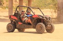 Cabo Migrino Beach & Desert UTV Tour and Tequila Tasting