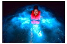 Bioluminescent Private Night Tours From Montego Bay 