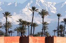 Marrakech: Half-Day Desert Quad & Dromedary Tour