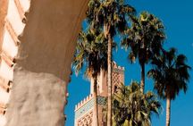 Marrakech: Half-Day Desert Quad & Dromedary Tour