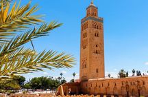 Marrakech: Half-Day Desert Quad & Dromedary Tour
