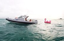Sunset Cruise Private Charter Hamilton Island