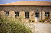 Gourmet Wine & Food Tasting