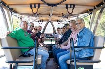 Small-Group Jeep Tour of Smoky Mountains Foothills Parkway