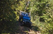 Smoky Mountains Newfound Gap Jeep Tour