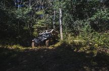 Smoky Mountains Roaring Fork Guided Sightseeing Tour by Jeep