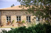 Classic Wine Tasting in Montalcino