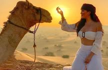 Dubai Evening Desert Safari & BBQ Dinner