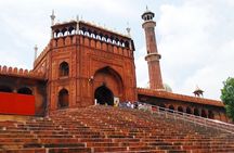 Half-Day Private Walking Tour of Old Delhi 