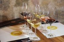 Private Wine Tasting Under the Guidance of a Sommelier in Rhodes