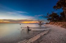 Clear Kayak Guided Kayak Tours in Titusville
