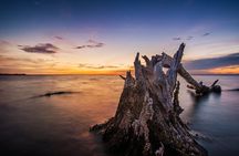 Clear Kayak Guided Kayak Tours in Titusville