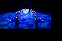 Xcaret Plus! Transportation Included from Cancun & Riviera Maya