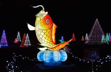 Niagara Falls Night Illumination Tour: Holiday Edition 