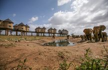 2 Days Kenya Safari special Tsavo East and Taita hills Saltlick from Mombasa